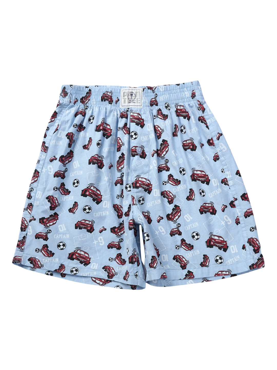Palm Tree Boys Blue Conversational Printed Cotton Shorts