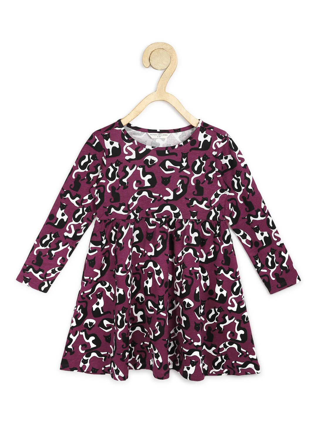 Peter England Purple Dress