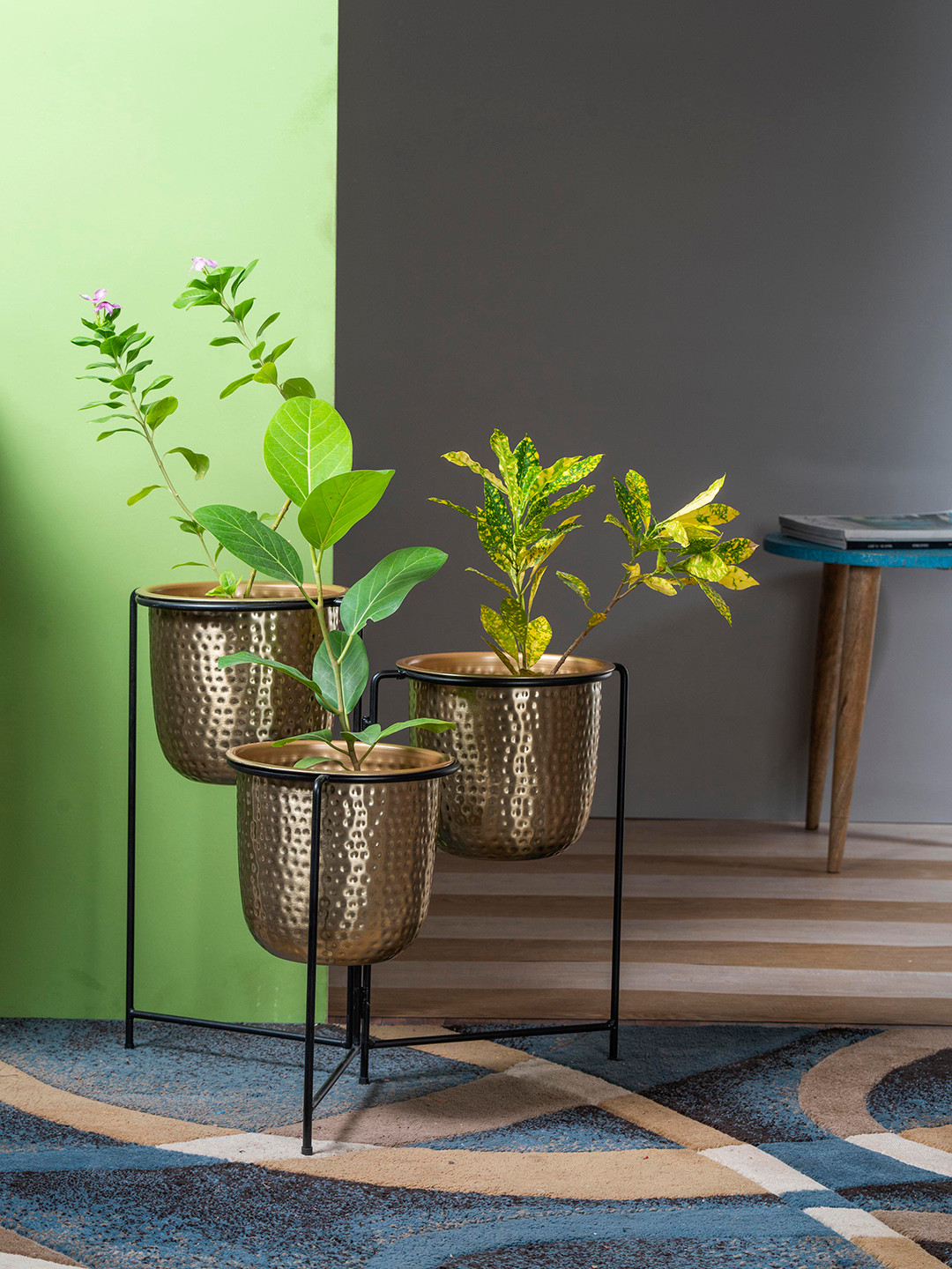 vedas U-Krisha Three in One Gold & Black Planter