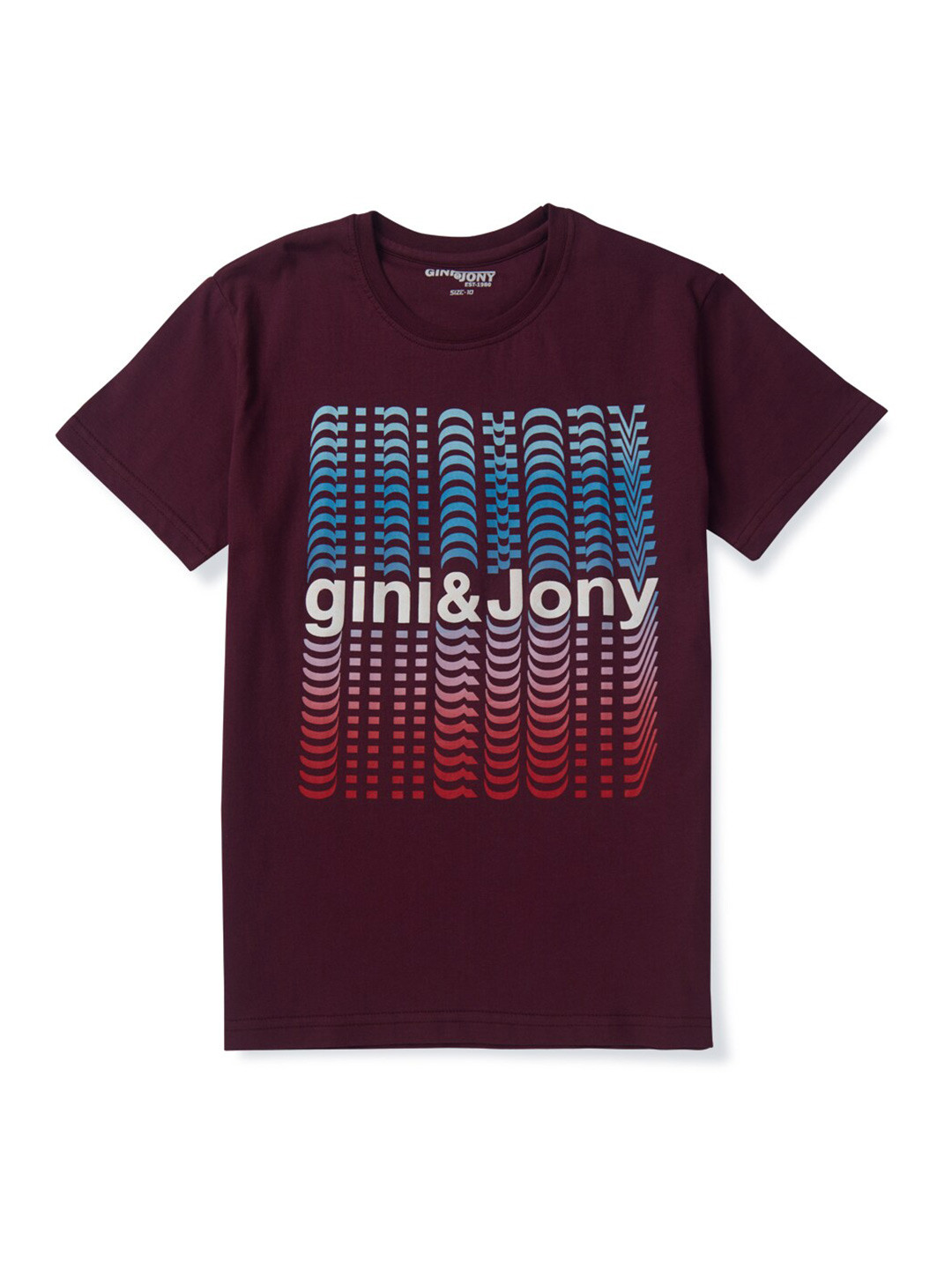 Gini and Jony Boys Maroon & Blue Printed Cotton T-shirt
