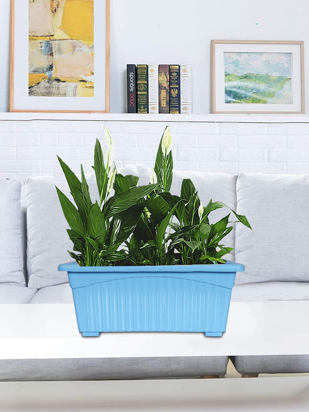 Kuber Industries Pack of 4 Blue Rectangular Jupiter Plastic Planters