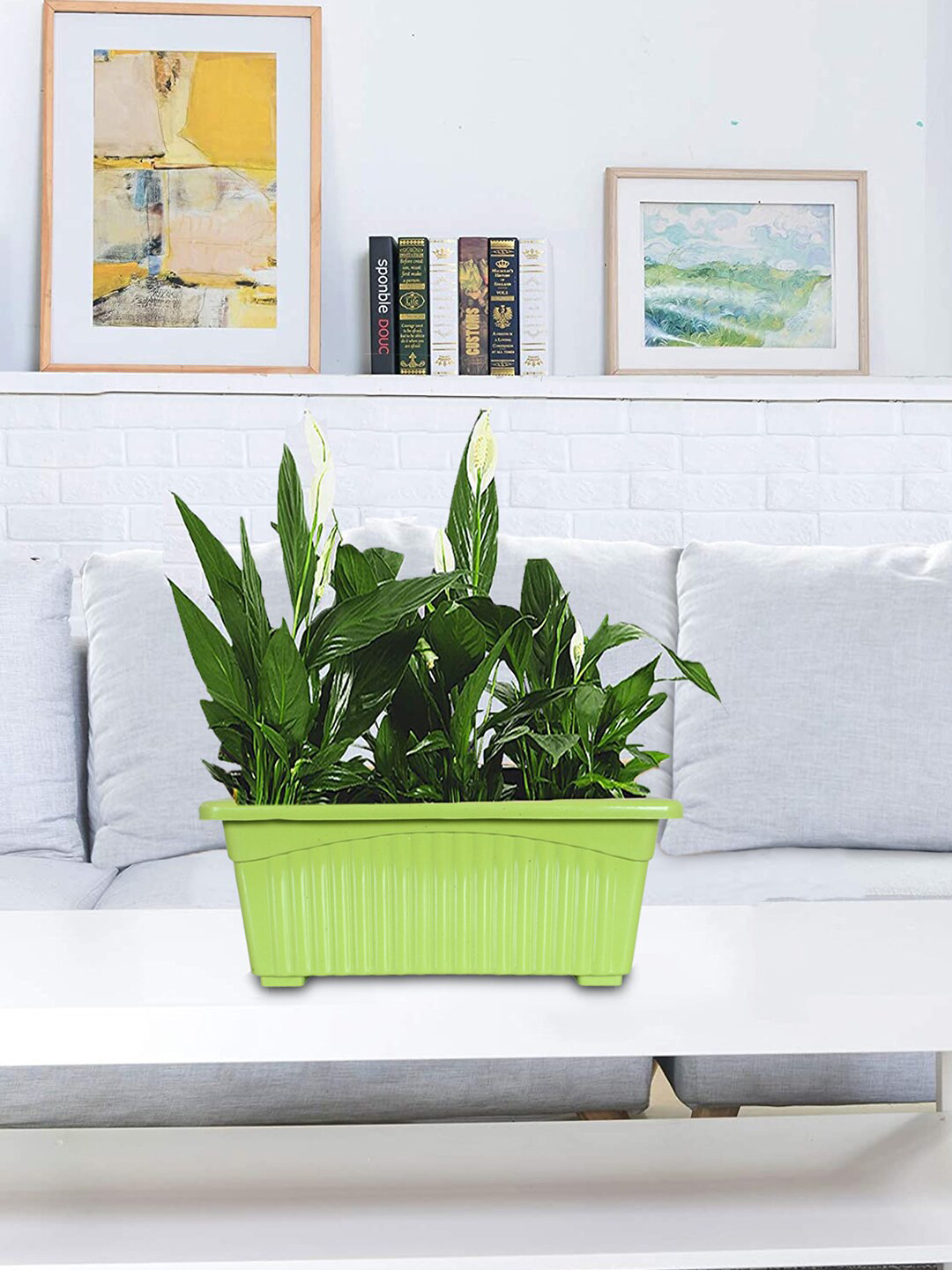 Kuber Industries Set Of 4 Rectangular Jupiter Plastic Window Pot