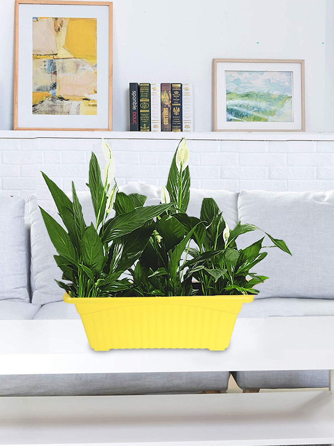 Kuber Industries Set Of 2 Yellow Rectangular Plastic Planters