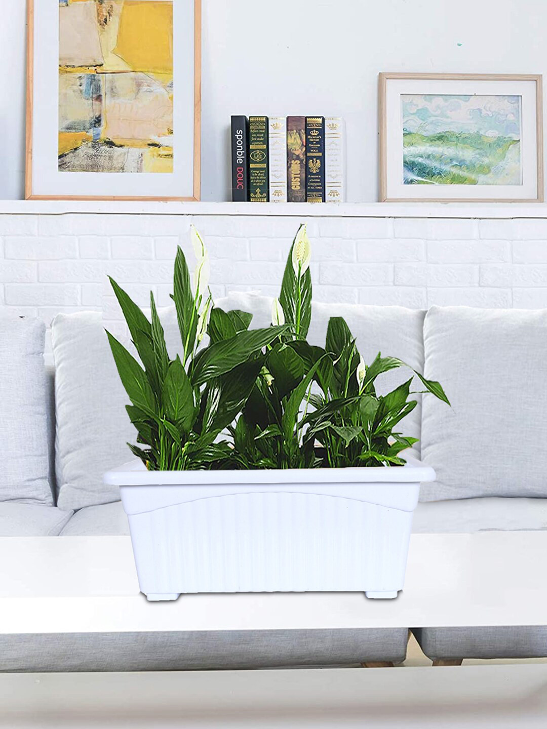 Kuber Industries Set Of 4 White Rectangular Plastic Window Pot