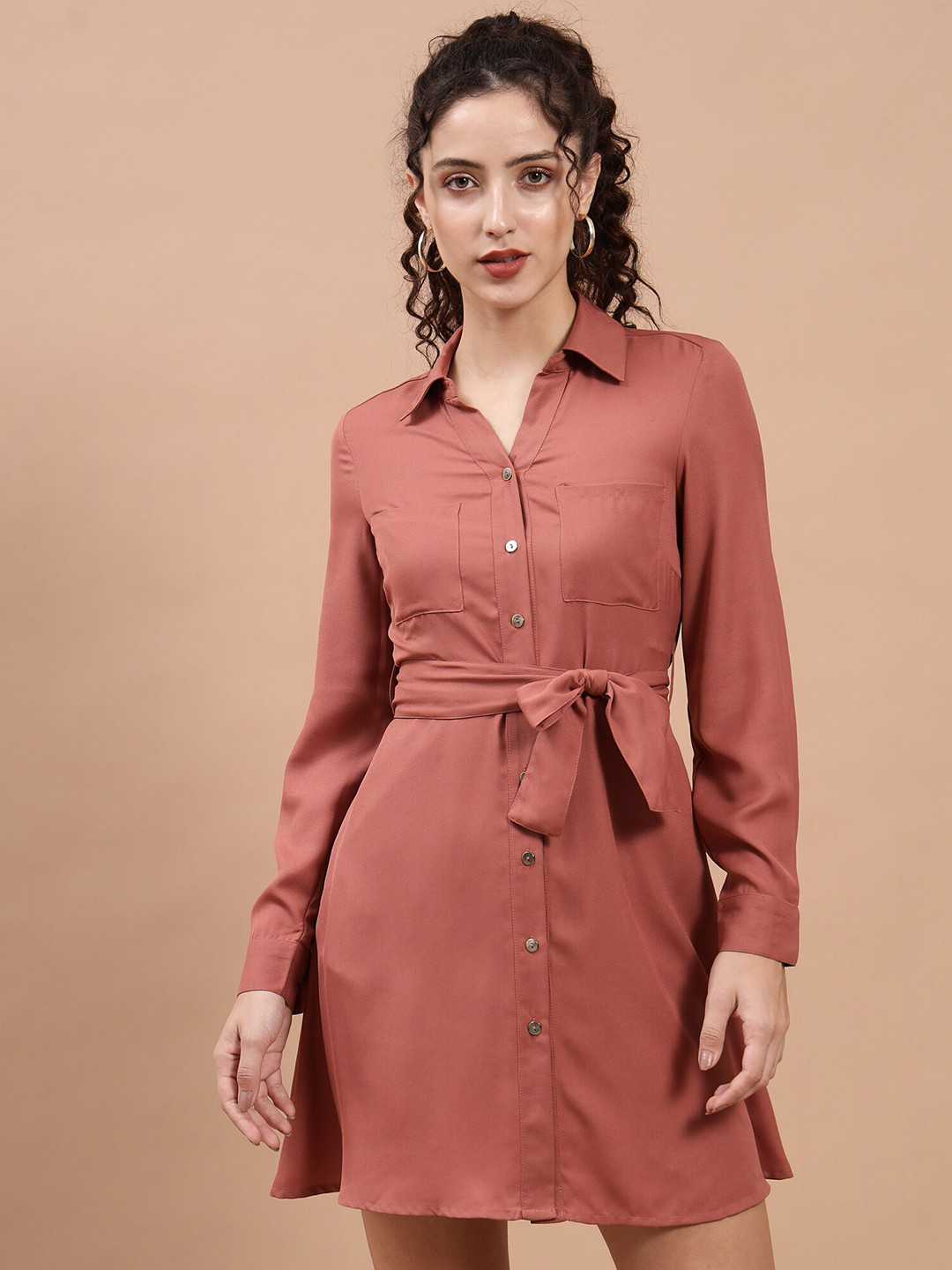 Beatnik Shirt Collar A-Line Dress