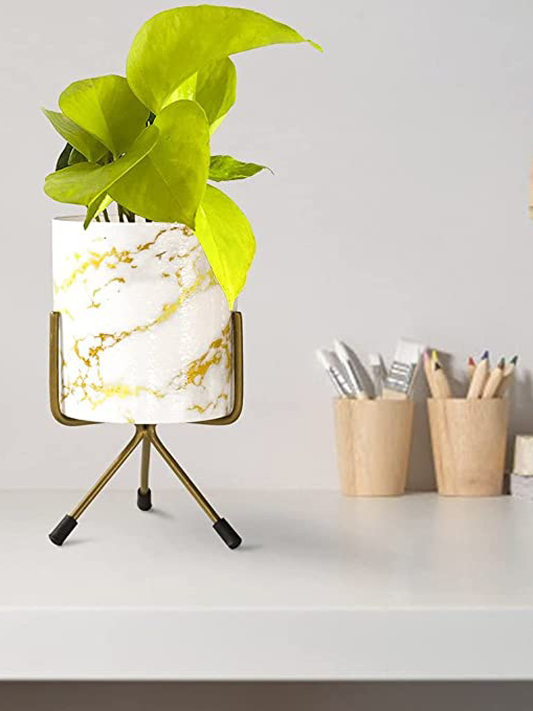 TRUSTBASKET Green & White Printed Milkwort planter