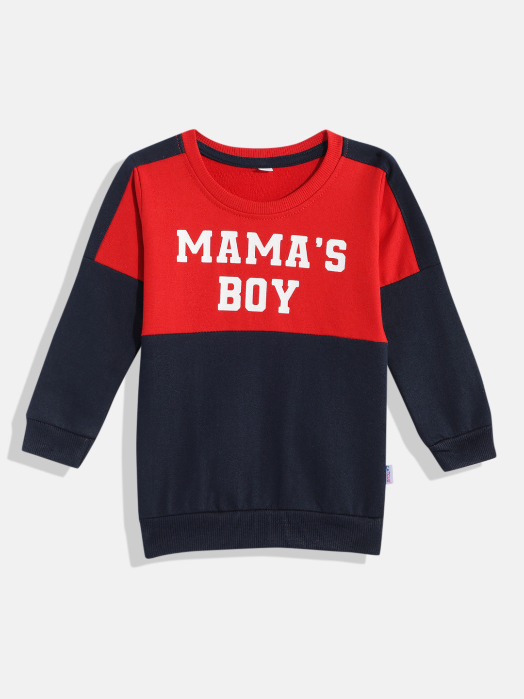 CATCUB Boys Grey Printed Sweatshirt