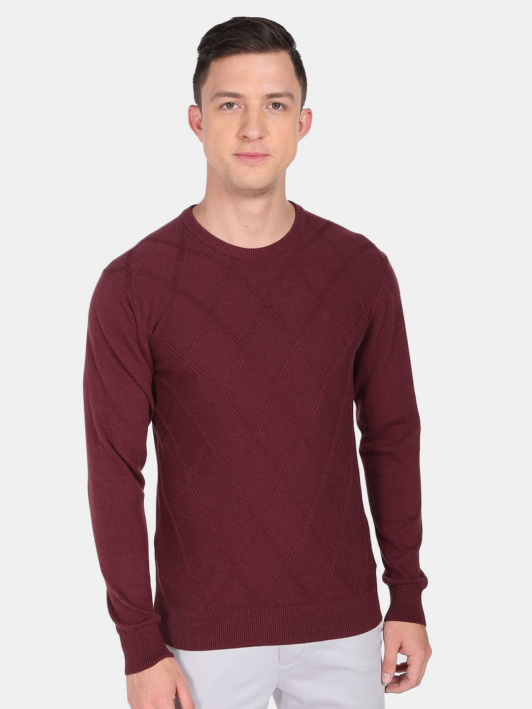 Arrow Men Round Neck Textured Knit Sweater
