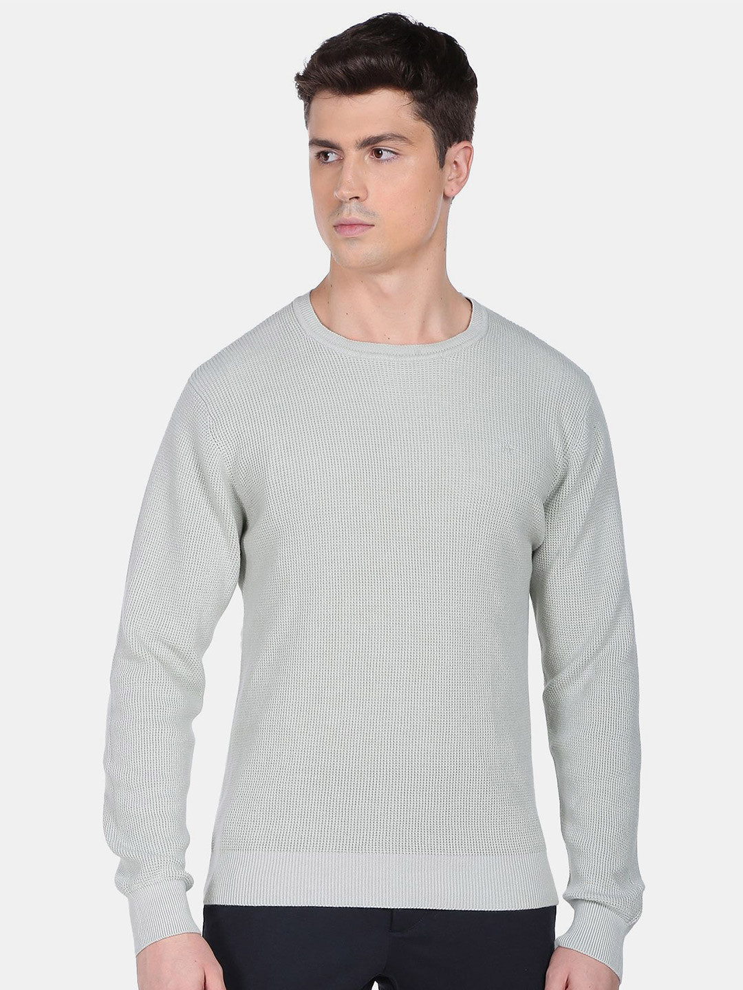 Arrow Men Round Neck Textured Knit Sweater
