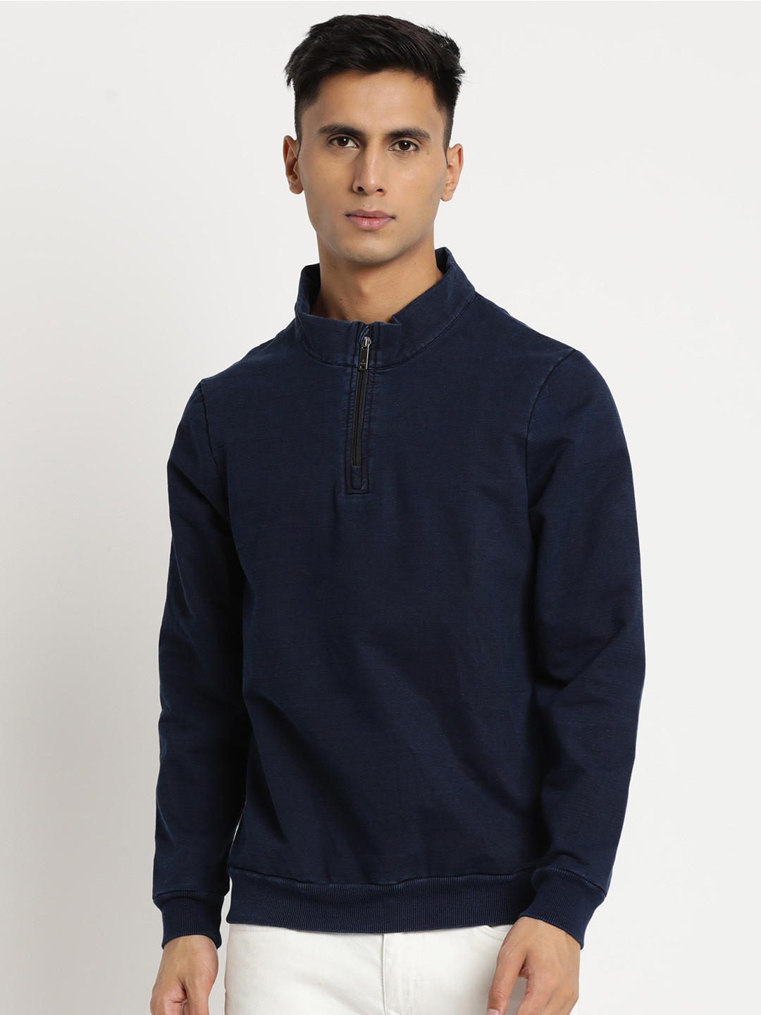 Turtle Men Mock Collar Pullover Sweatshirt