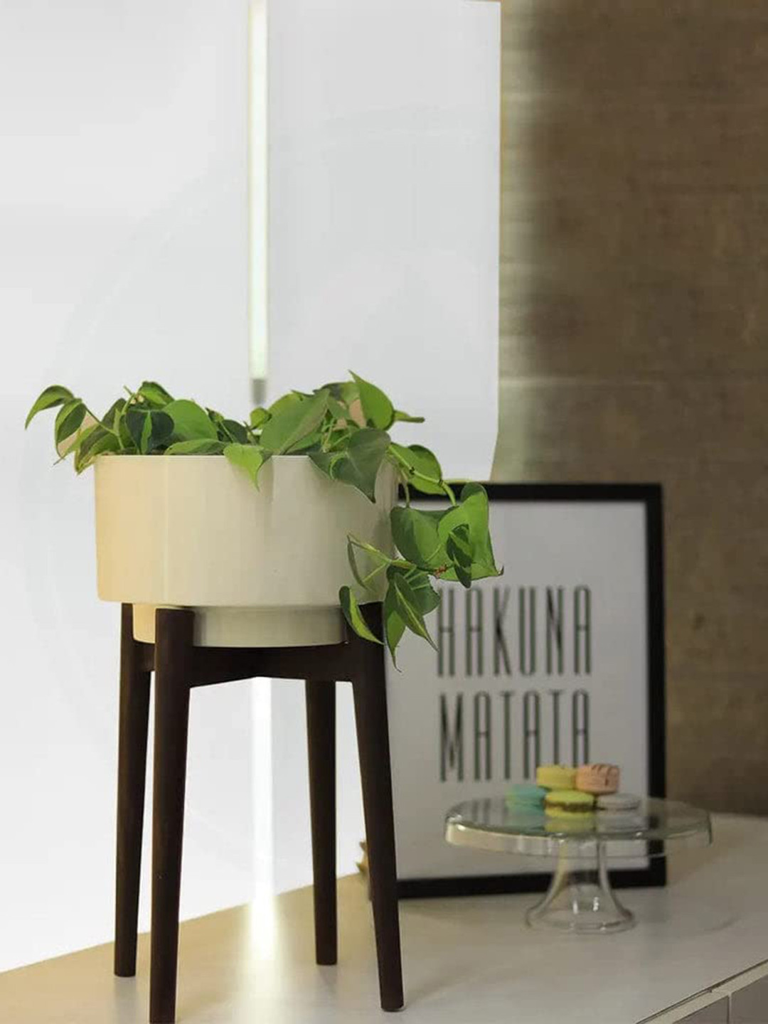 TRUSTBASKET White & Brown Costa Mid Planter With Wooden Stand