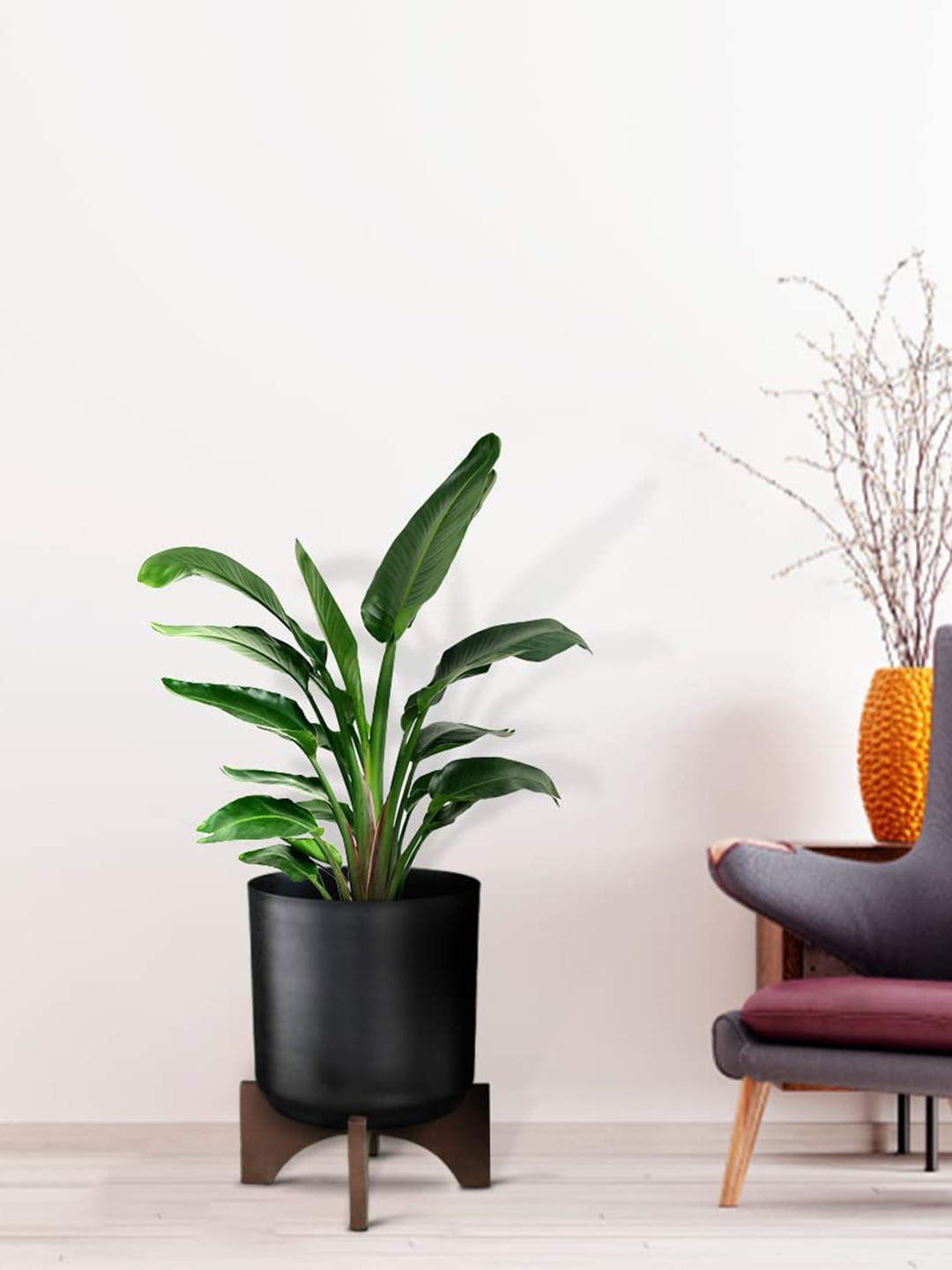 TRUSTBASKET Lyrical Planter with Wooden Stand