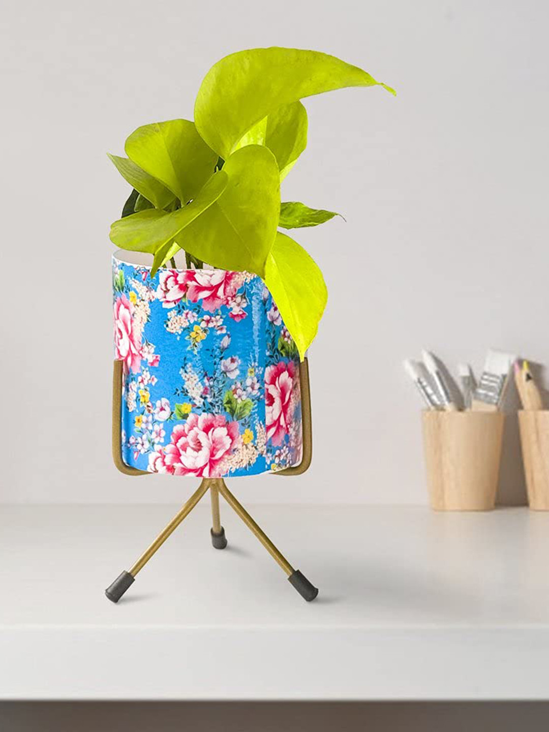 TRUSTBASKET Blue & Pink Printed Planters