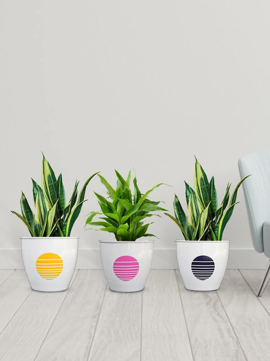 TRUSTBASKET Aroma Set Of 3 White Printed Planters