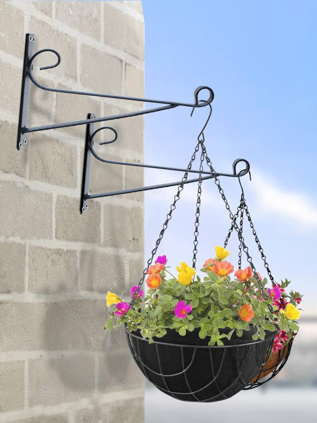 TRUSTBASKET Black Pack of 10 Clout Wall Bracket for Hanging Planter