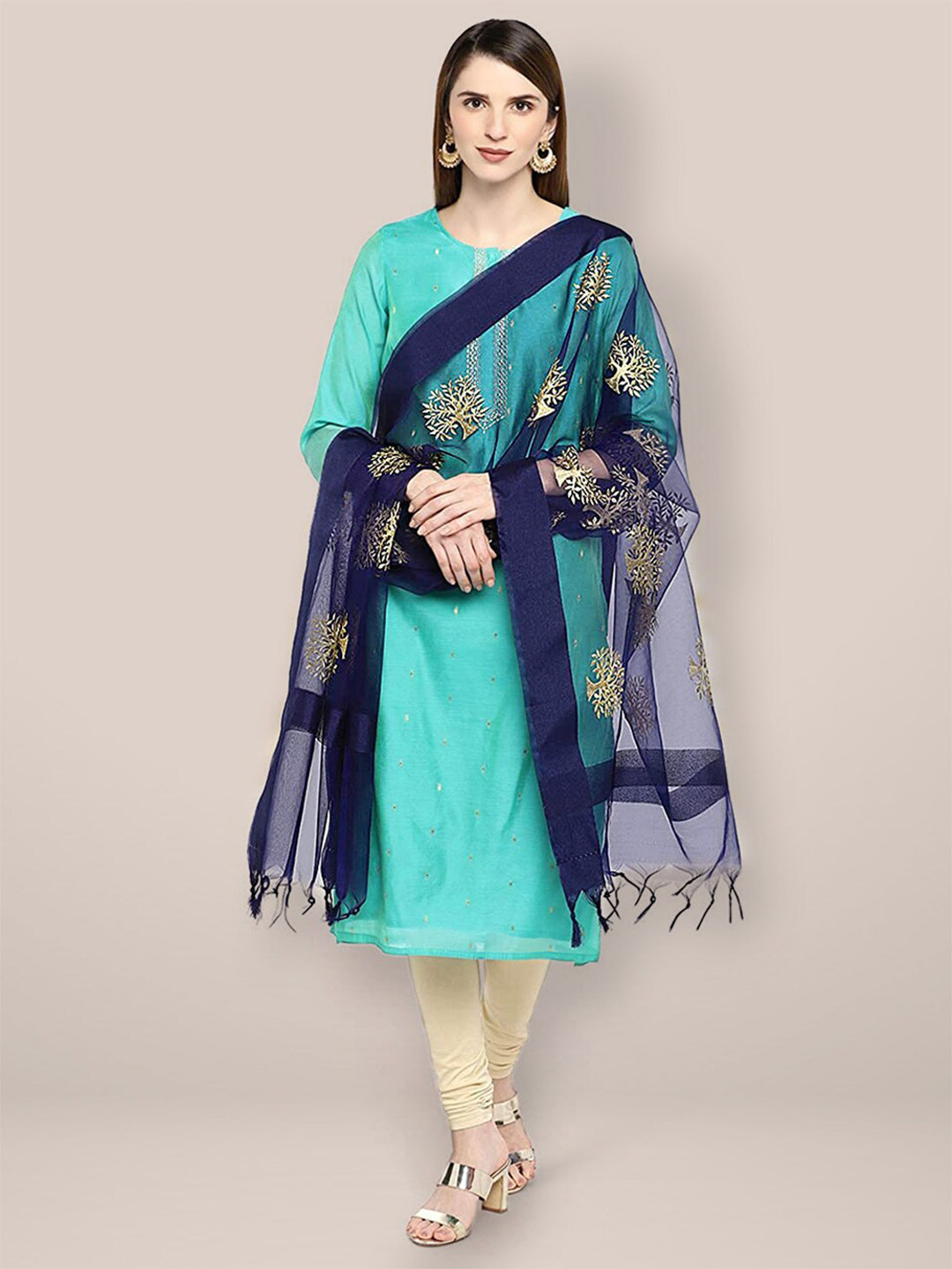 Dupatta Bazaar Ethnic Motifs Embroidered Organza Dupatta