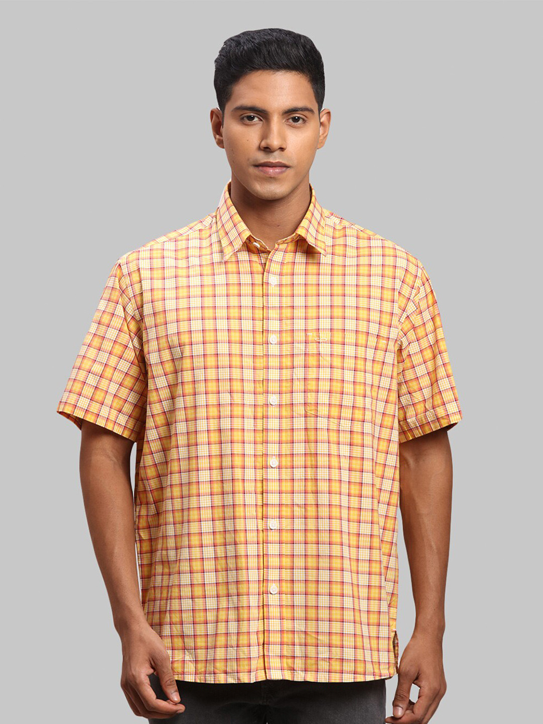 ColorPlus Men Plus Size Checked Casual Cotton Shirt