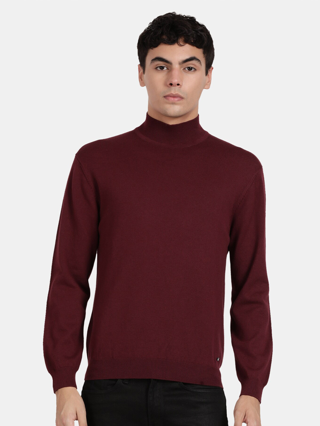 t-base Men Turtle Neck Pullover