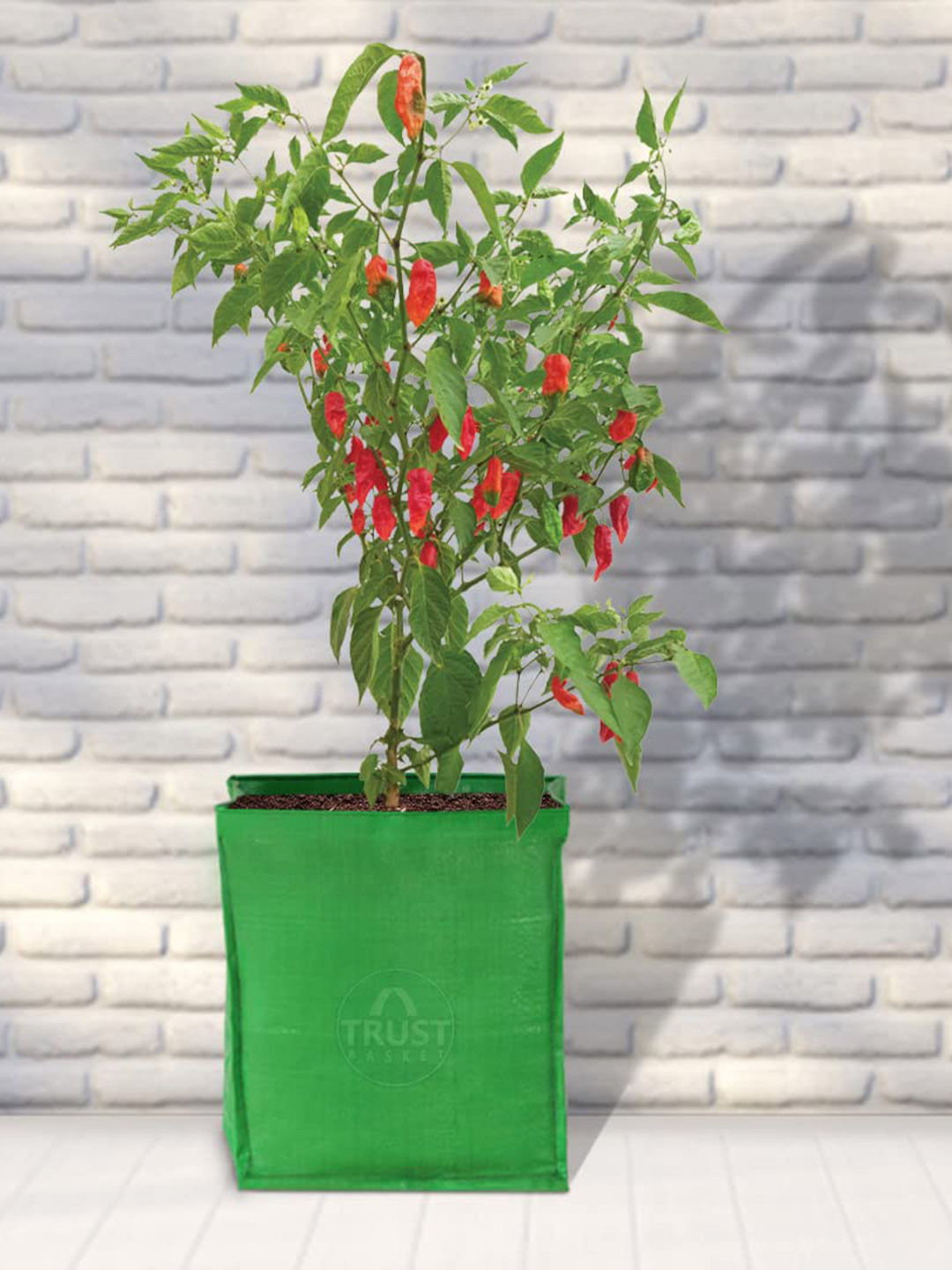 TRUSTBASKET Set Of 5 HDPE Square Grow Bag