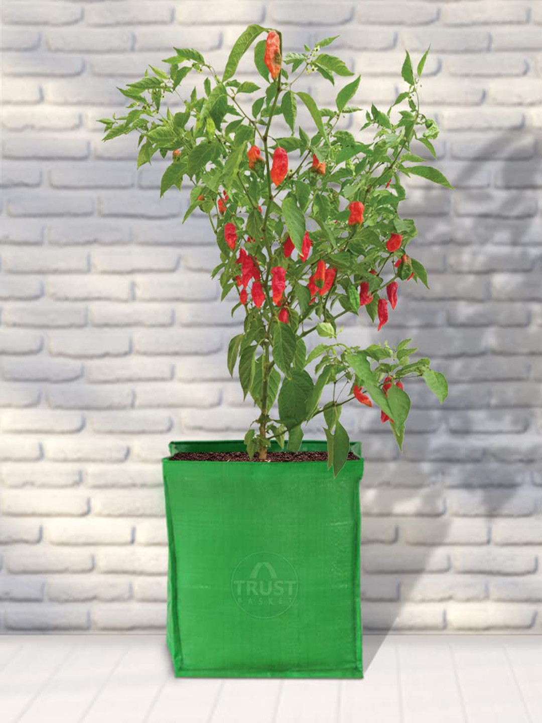 TRUSTBASKET Set Of 10 Green Brand Logo Printed Planters