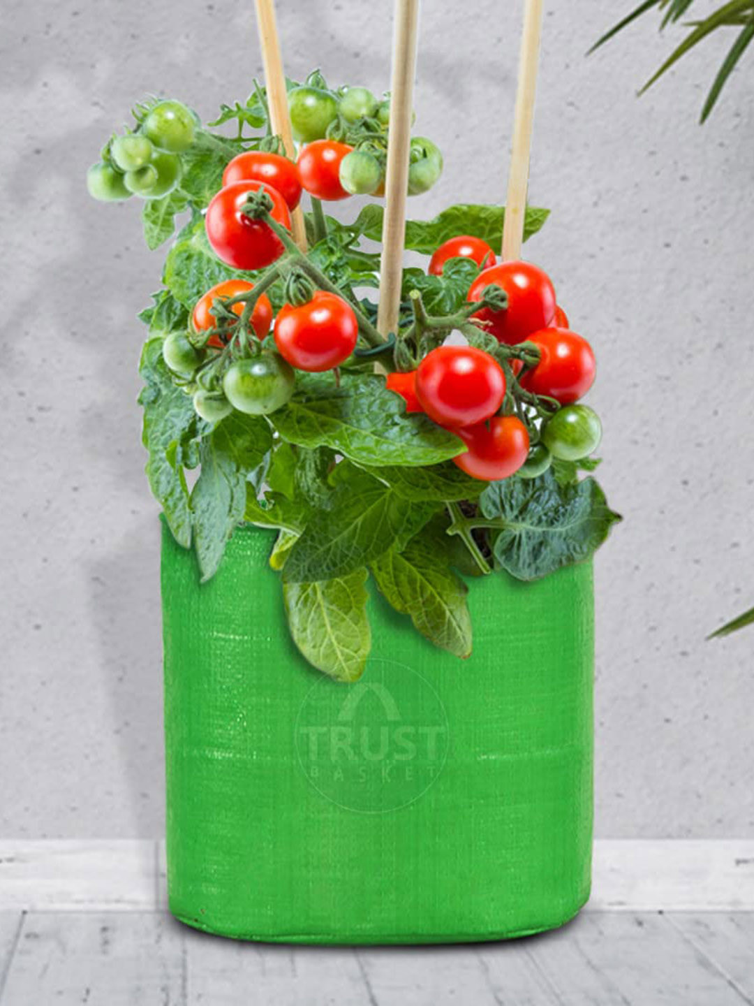 TRUSTBASKET HDPE Set Of 5 Green Round Grow Bag