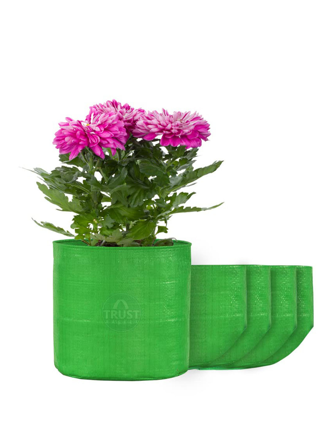 TRUSTBASKET HDPE Set Of 5 Green Round Grow Bags
