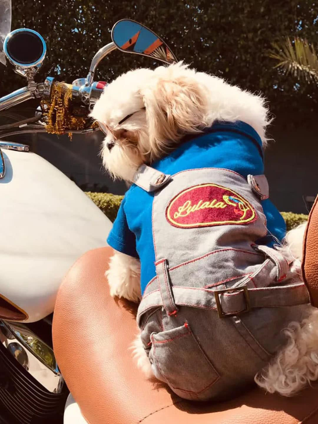 Lulala Printed Detail Stylish Jumpsuit Pet Dress