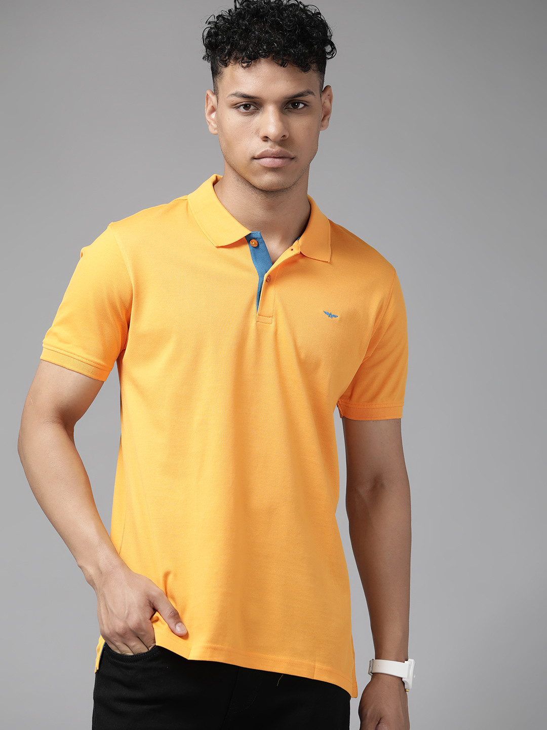 Park Avenue Polo Collar Pure Cotton Slim Fit T-shirt