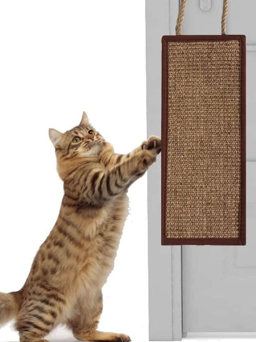 Emily pets Textured Hanging Cat Scratcher