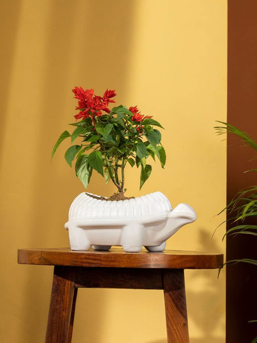 TRUSTBASKET White Set Of 2 Textured Tortoise Shaped Planters