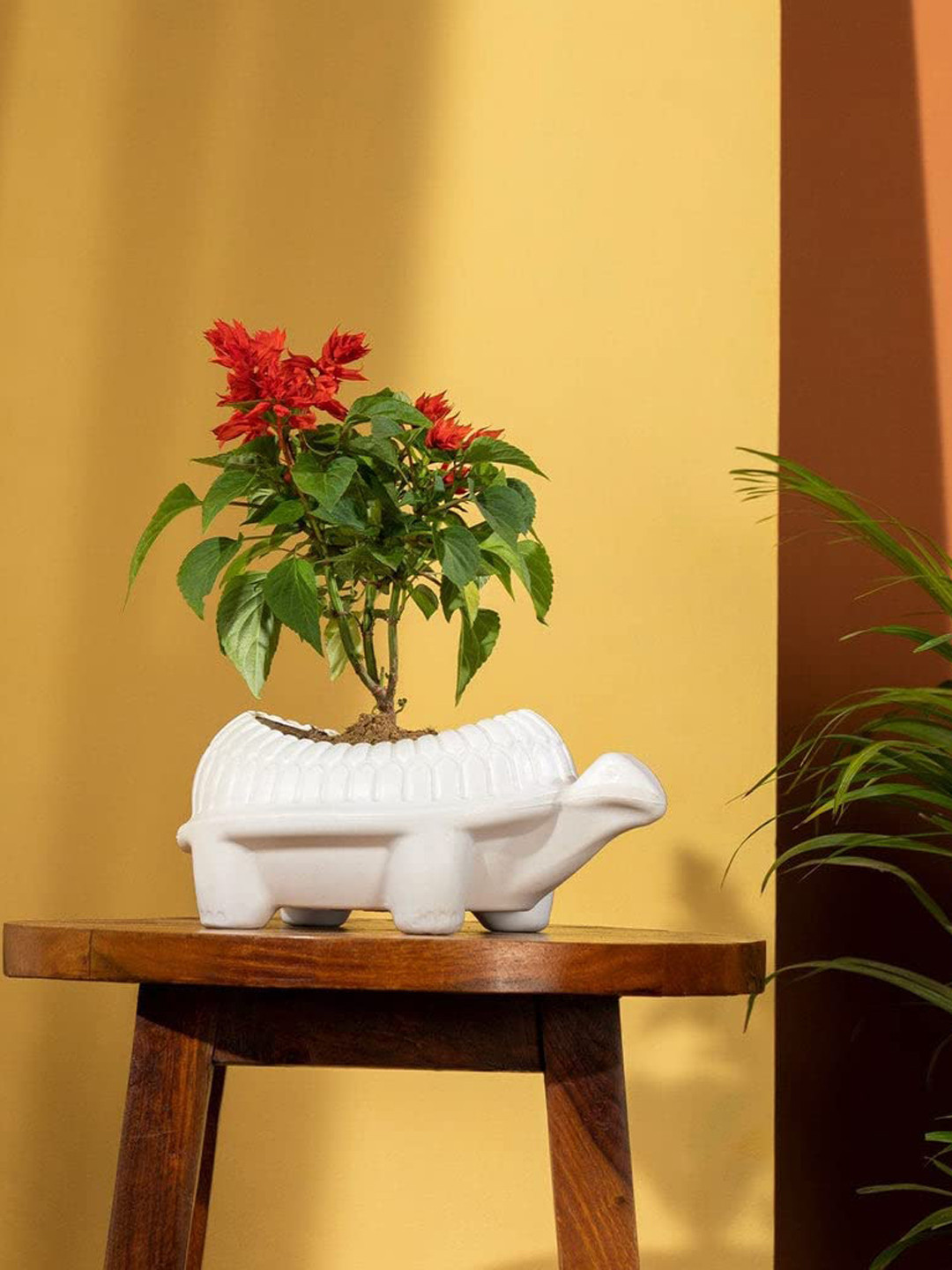 TRUSTBASKET White Set Of 3 Textured Tortoise-Shaped Planters