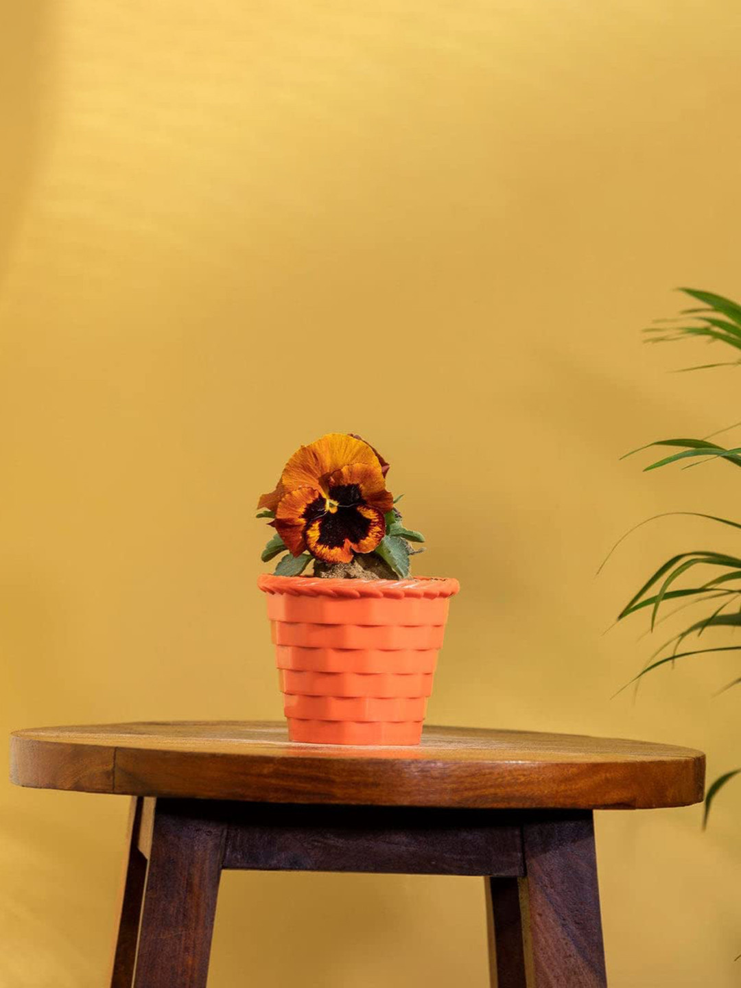 TRUSTBASKET Set Of 8 Yellow & Red Brick Textured Pot Planters