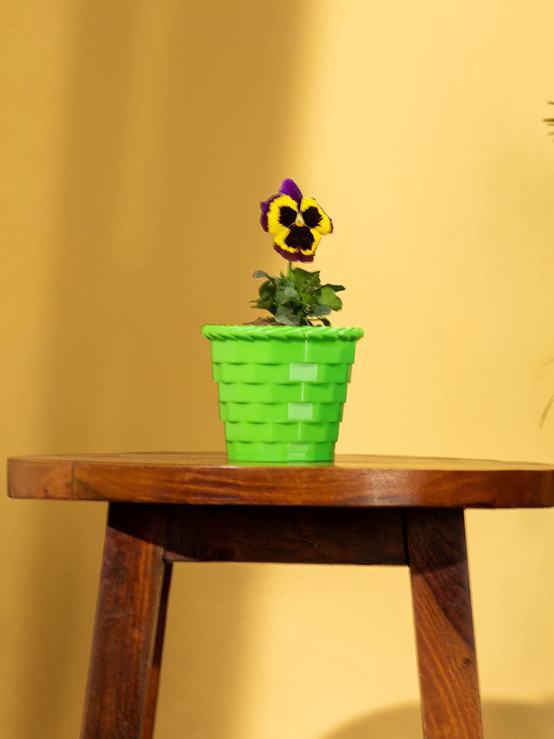 TRUSTBASKET Set Of 4 Textured Brick Planters