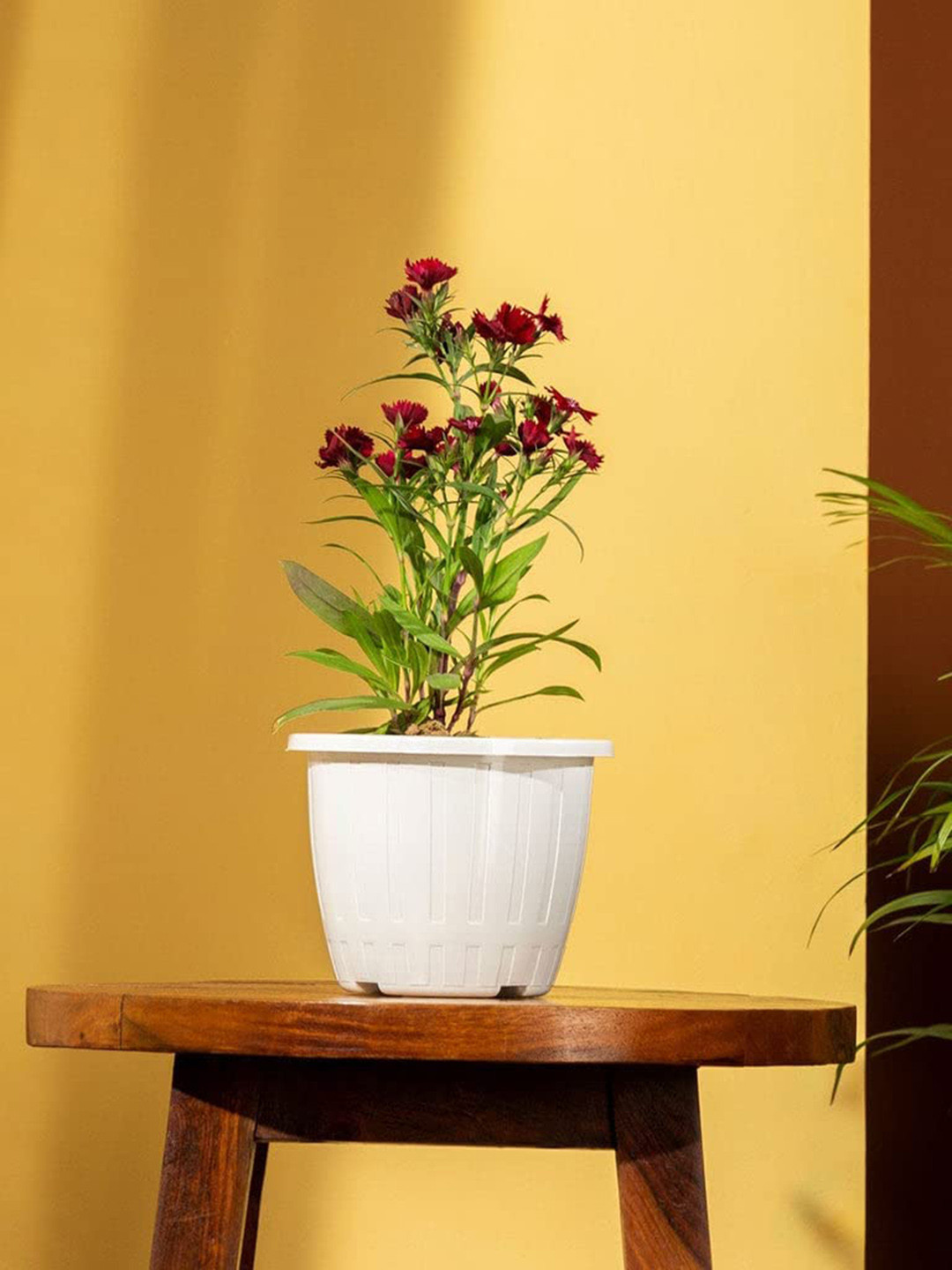 TRUSTBASKET Set Of 4 Textured Planters