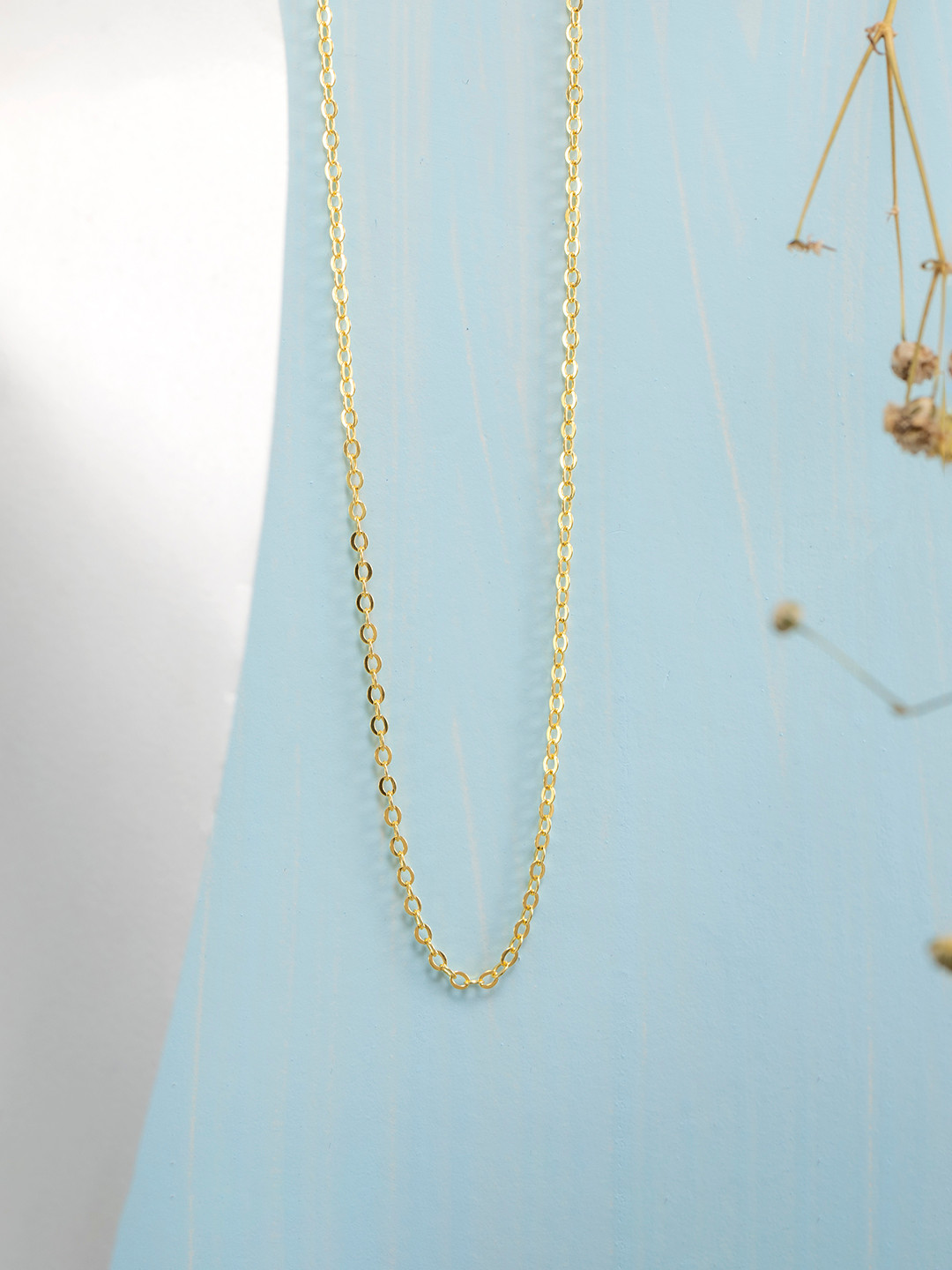 Zavya Sterling Silver Gold-Plated Chain