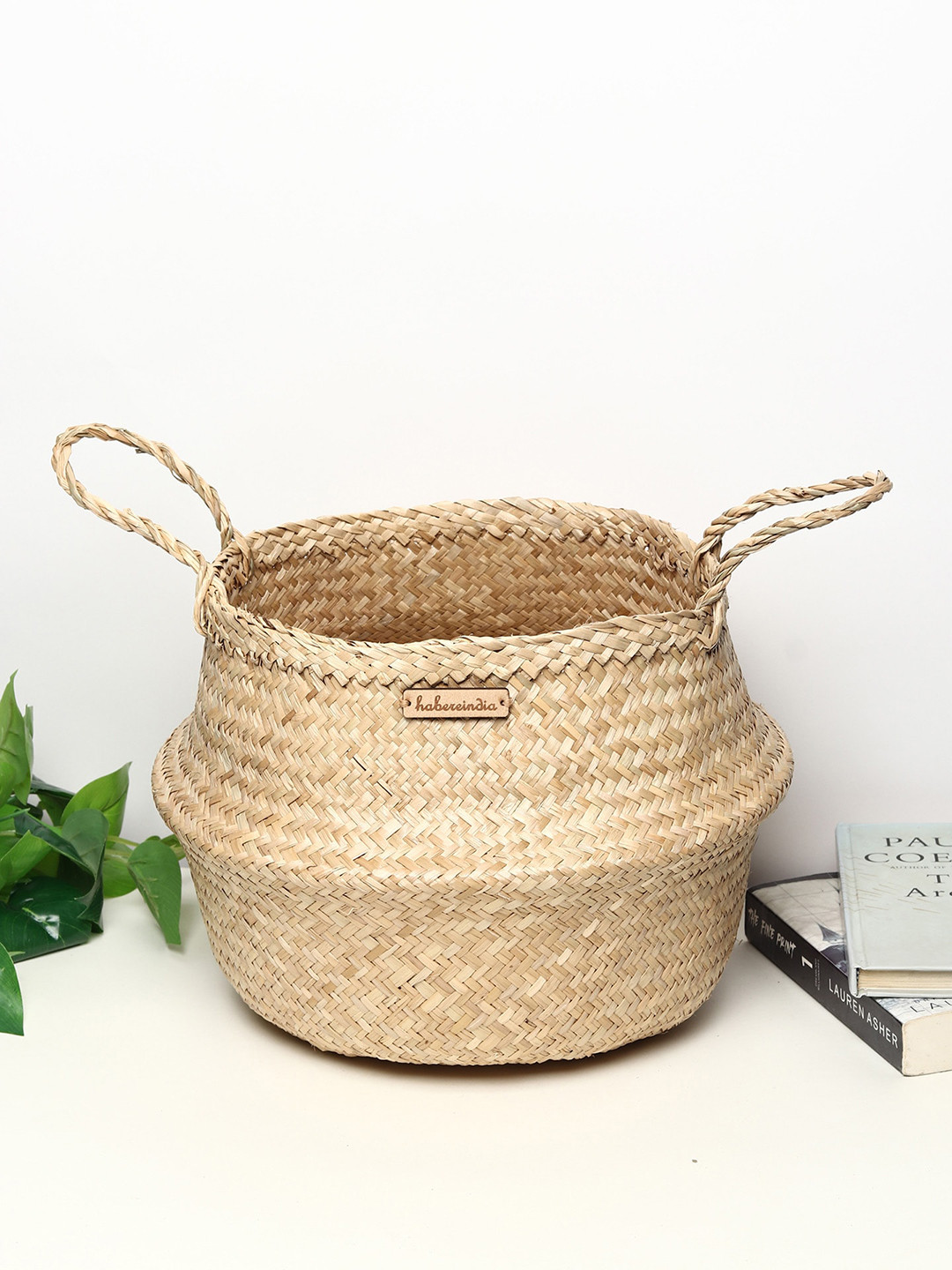 HABERE INDIA Beige Seagrass Belly Plant Small Storage Basket