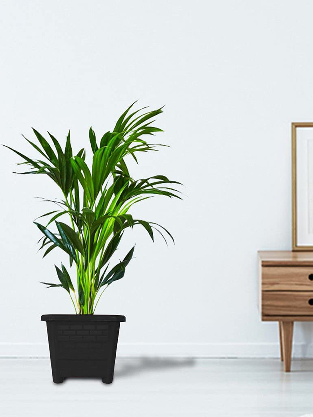 TRUSTBASKET Earth Box Black 6 Pcs Textured Planters