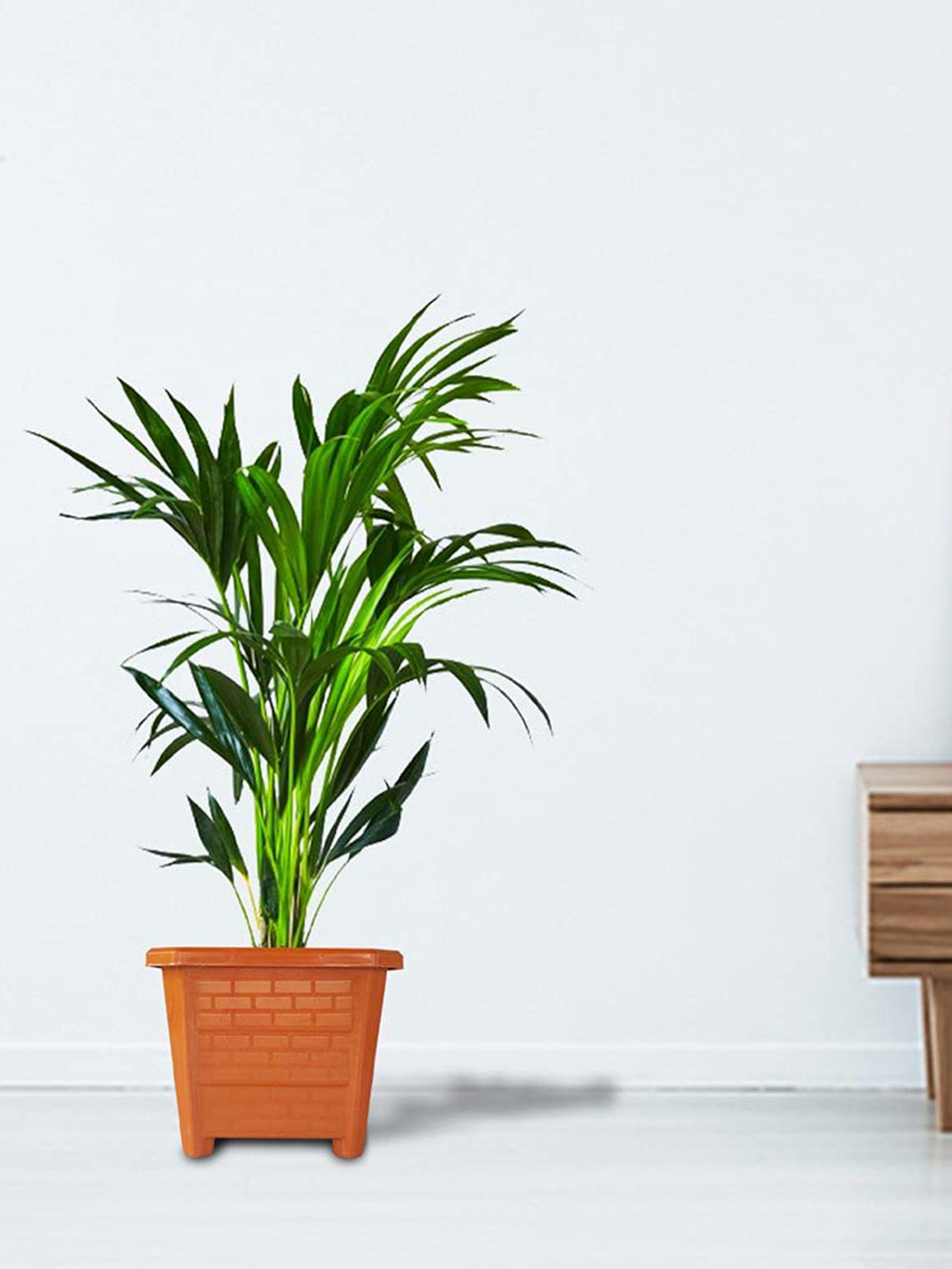 TrustBasket Earth Box 6-Pieces Brown Textured Planters