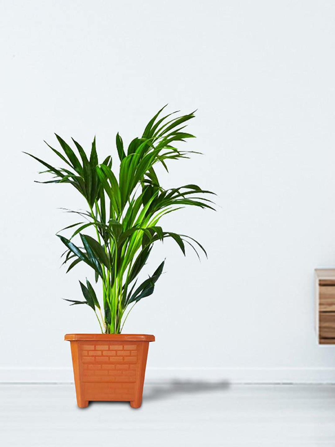 TRUSTBASKET Earth Box Brown 6 Pcs Textured Planters