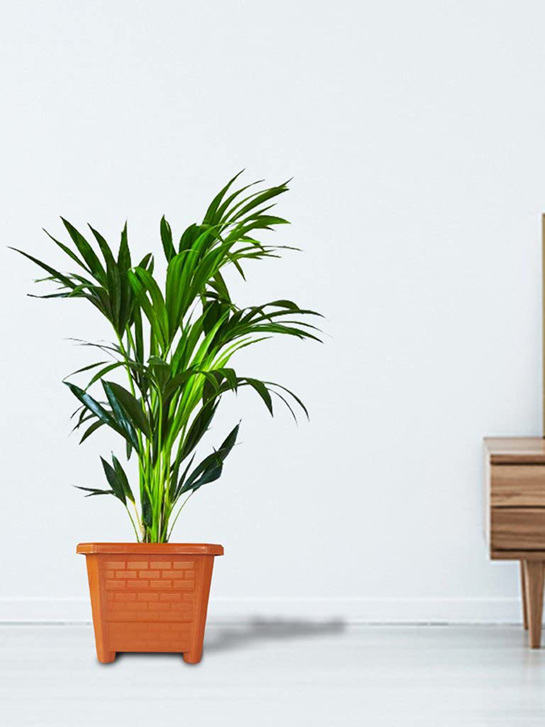 TRUSTBASKET Earth Box Brown 6 Pieces Textured Planters