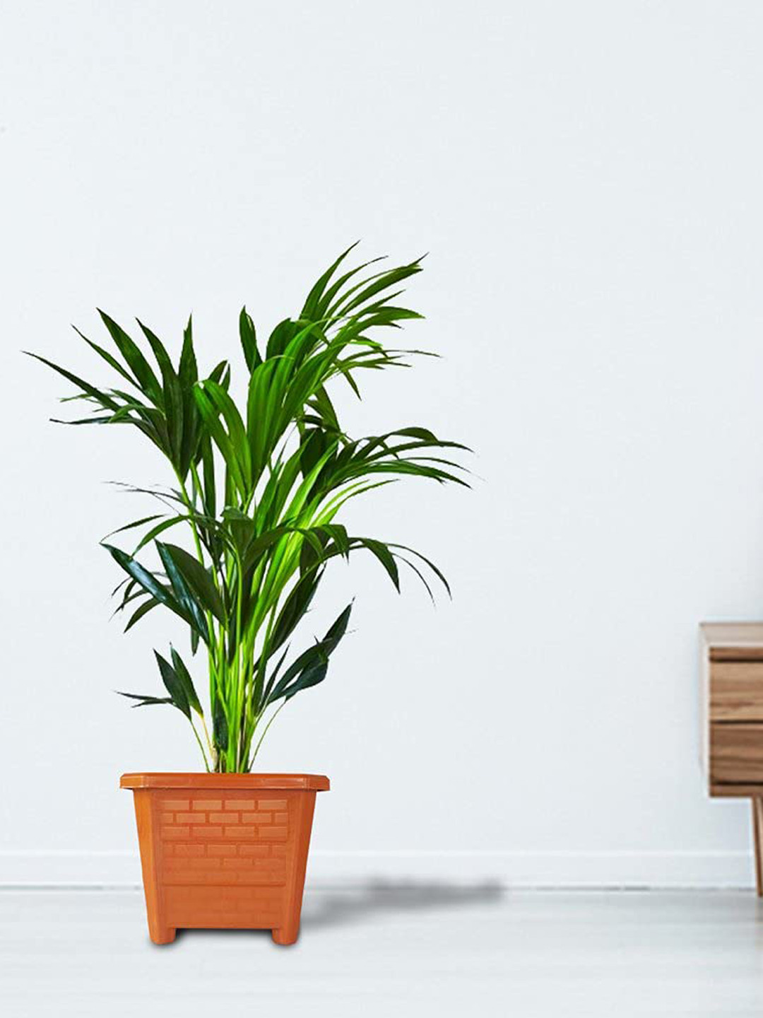 TrustBasket Earth Box 12-Pieces Brown Textured Square Planters