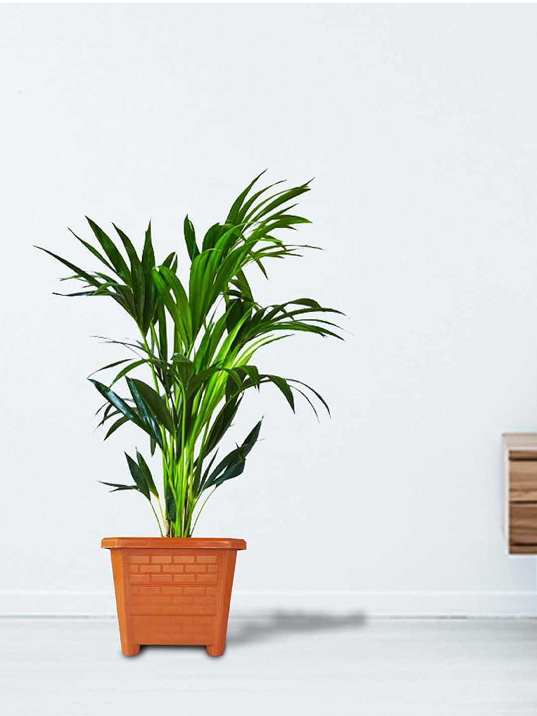 TRUSTBASKET Earth Box 12 Pcs Brown Textured Planters