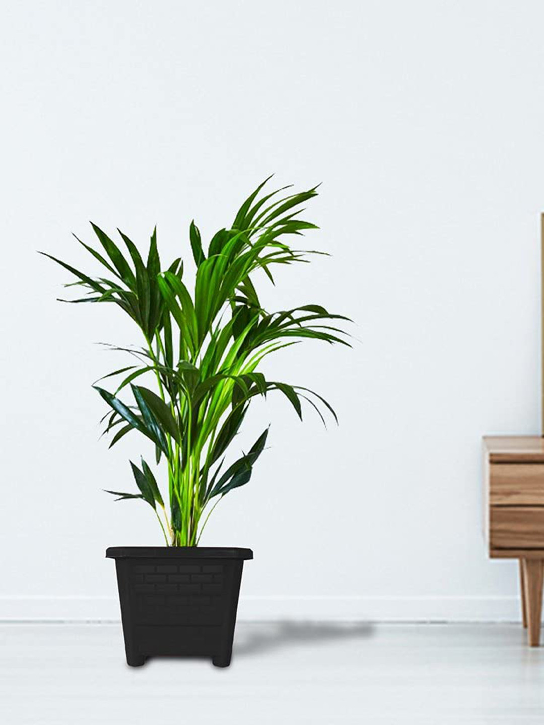 TRUSTBASKET Earth Box Black 3 Pcs Textured Planters