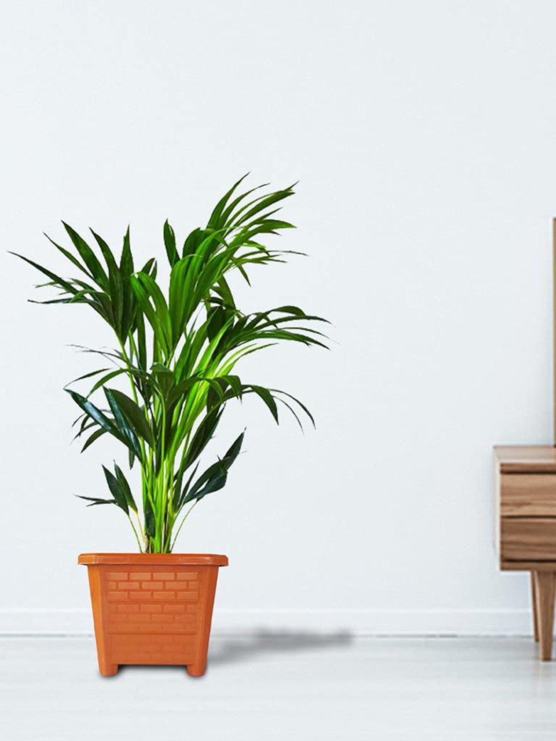 TRUSTBASKET Earth Box Brown 3 Pieces Textured Planters