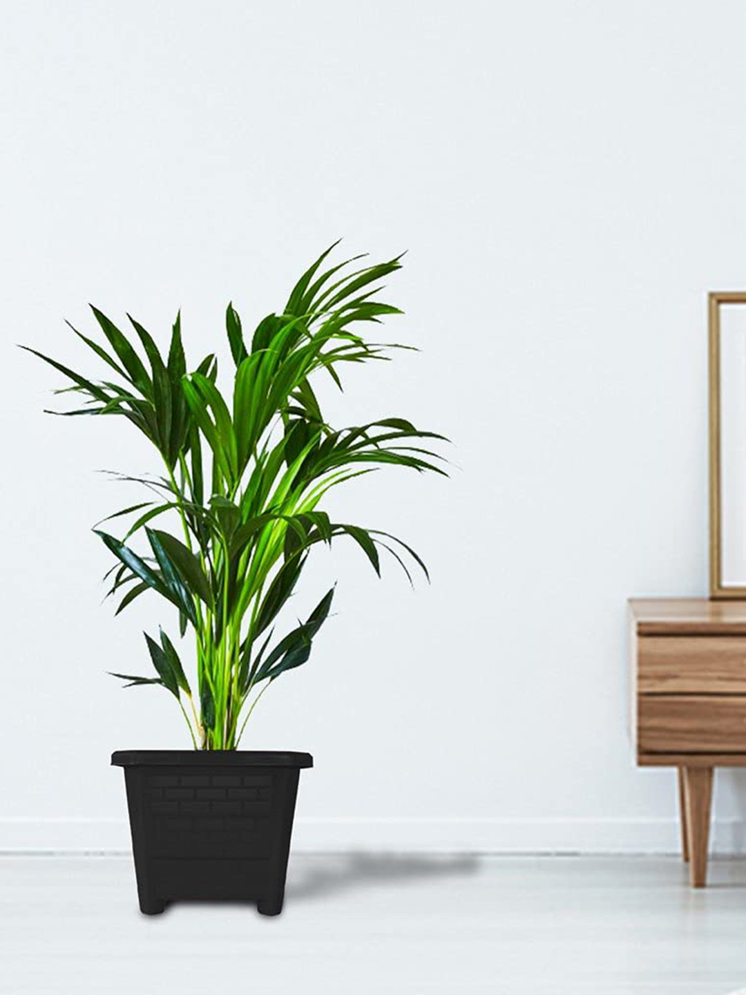 TRUSTBASKET Earth Box 3-Pcs Black Textured Plastic Planters