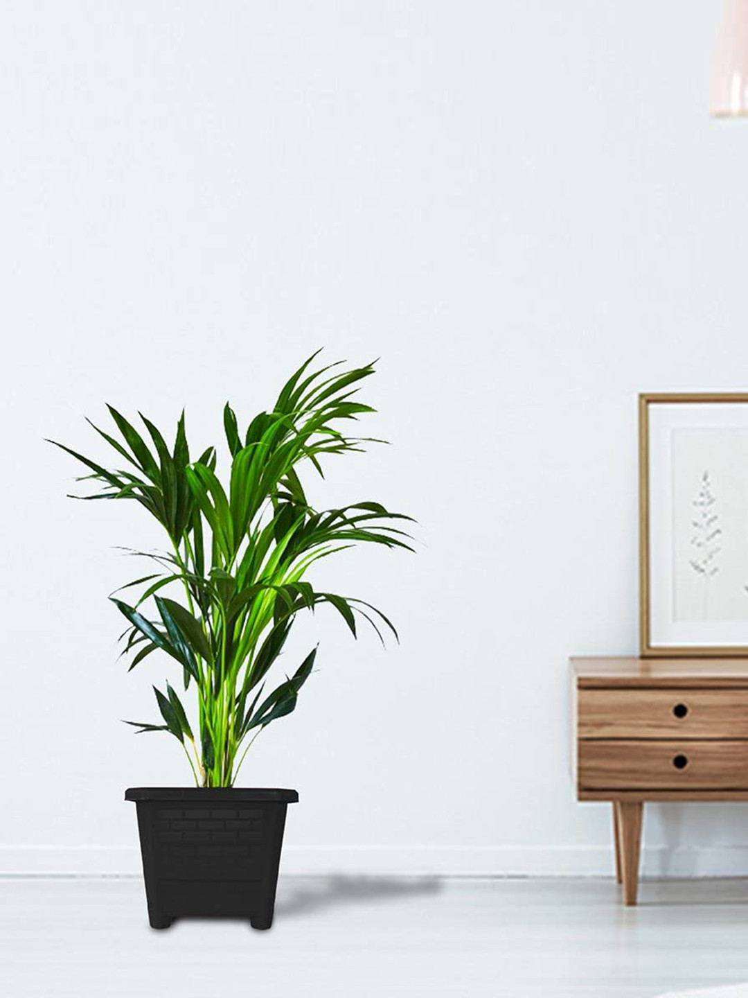 TRUSTBASKET Earth Box 12 Pieces Black Textured Planters