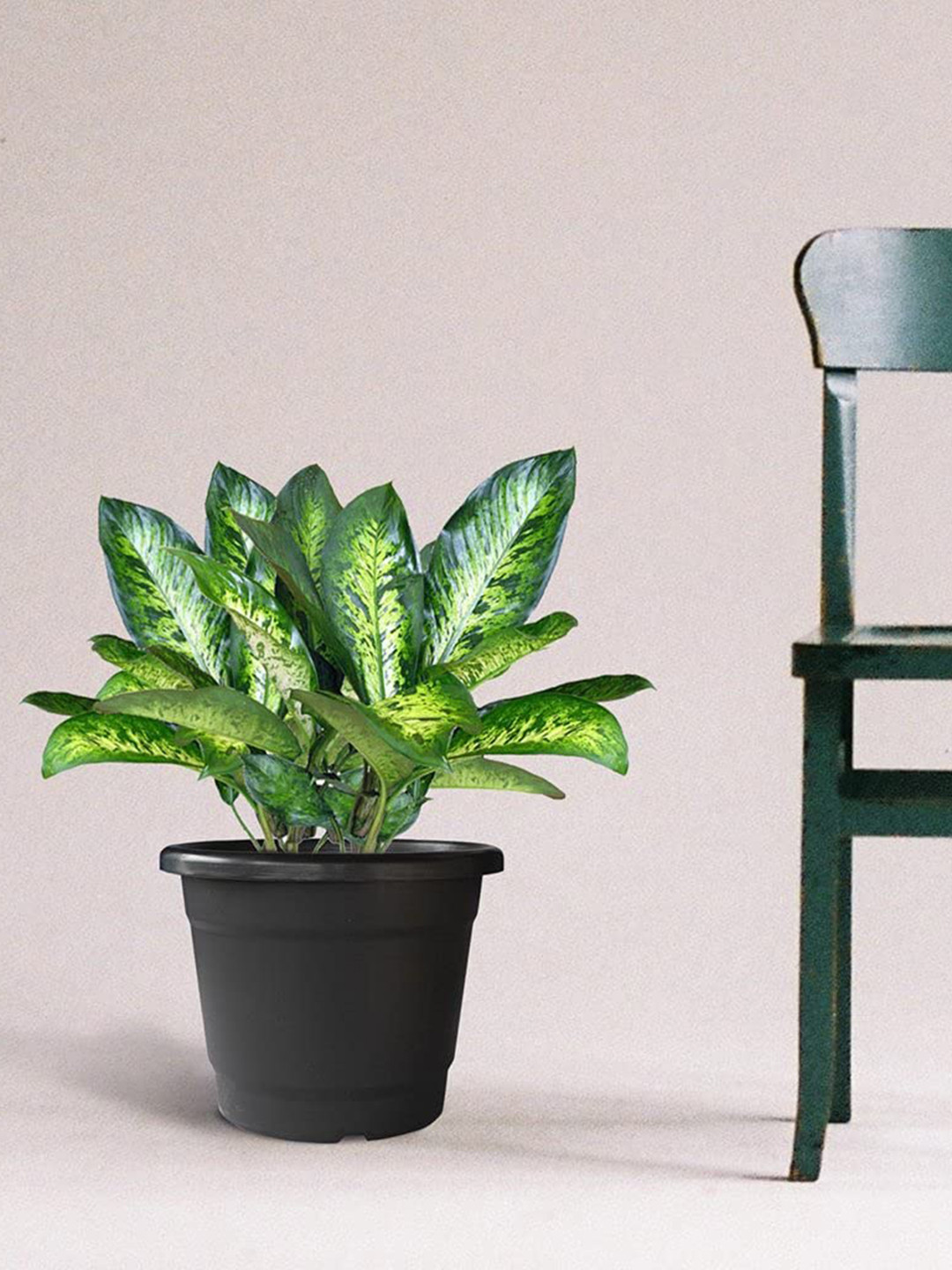 TrustBasket Bhuvi 12-Pieces Black Round Planters