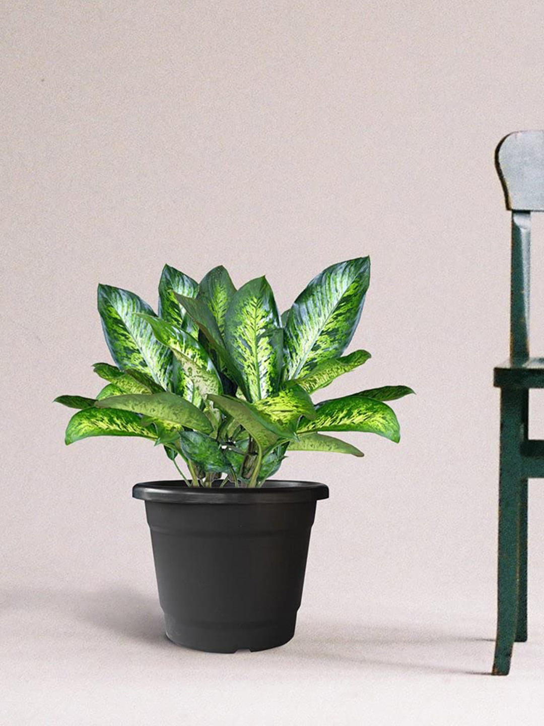 TRUSTBASKET Bhuvi 3 Pieces Black Plastic Pots