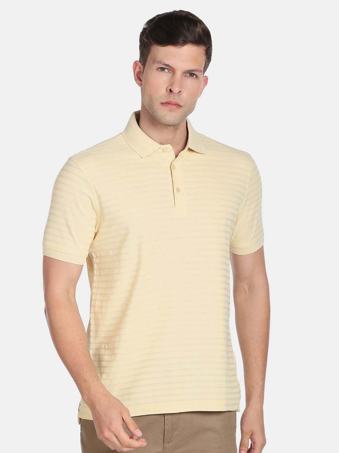 Arrow Men Striped Polo Collar Pure Cotton T-shirt