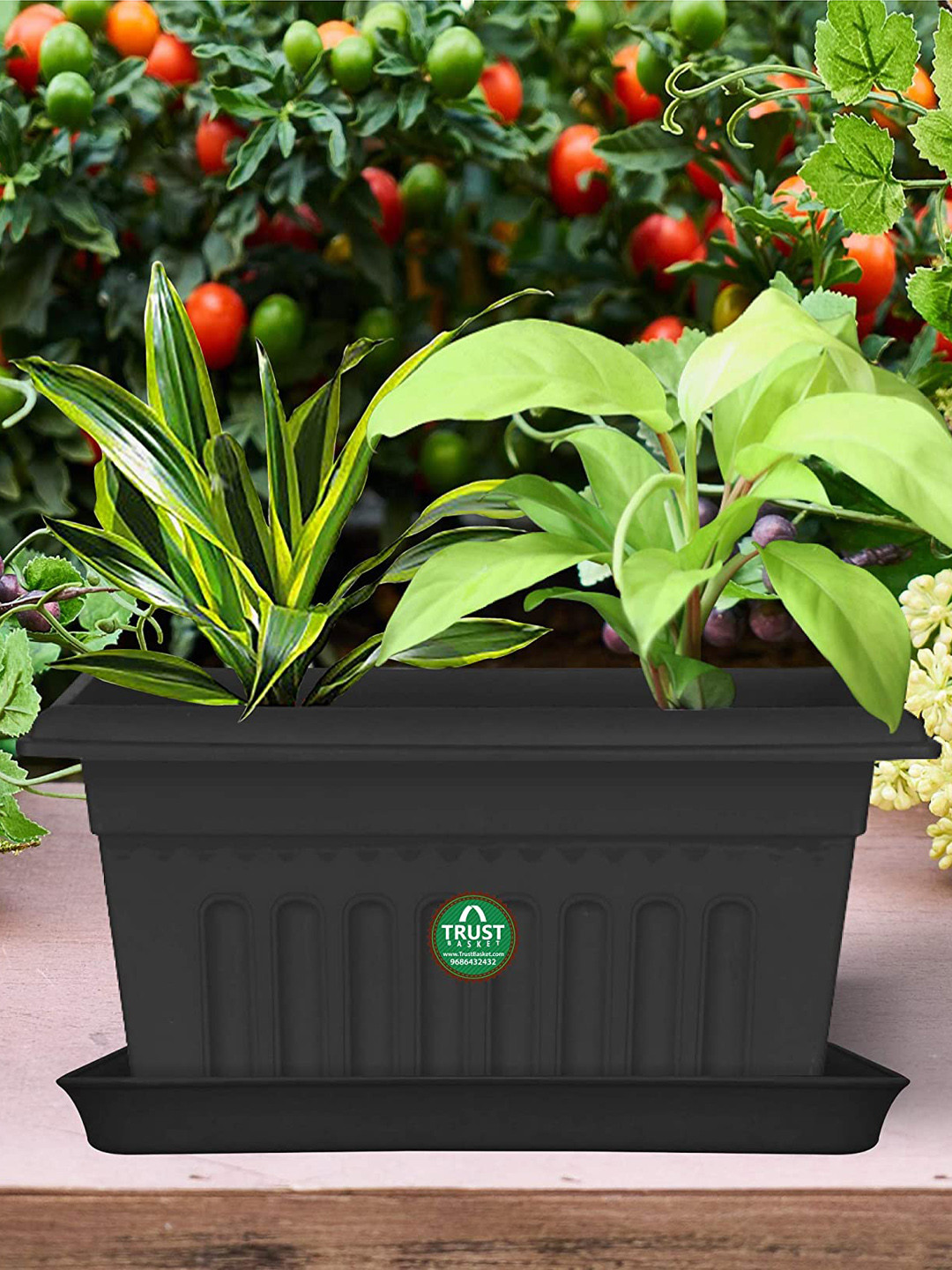 TRUSTBASKET 3 Pcs Black Planter Stand